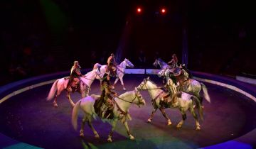 � 7 ����� � ����� �������� ����� ��������� ���� ����� ����