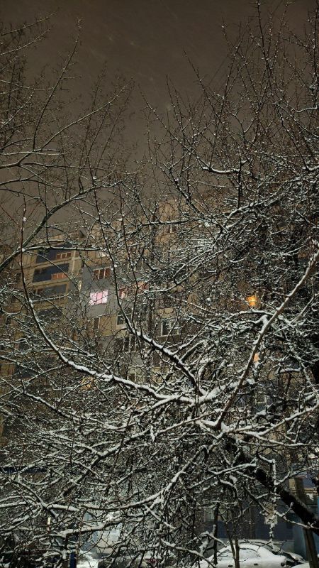 ��������� ������������ 26 ������� � ��� � ������� ����� �� ����� 2 �� ���� 3 ��������, ������� ��������� �����, ������ ����, ����������, �����, ��������� ������� ����� �� �������� � ��������