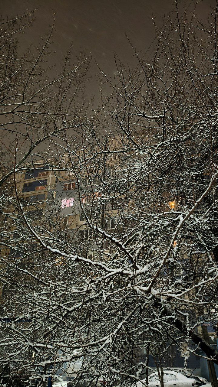 Синоптики прогнозируют 26 февраля в ЛНР в течение суток от минус 2 до плюс 3 градусов, местами ожидаются дождь, мокрый снег, гололедица, туман, налипание мокрого снега на проводах и деревьях