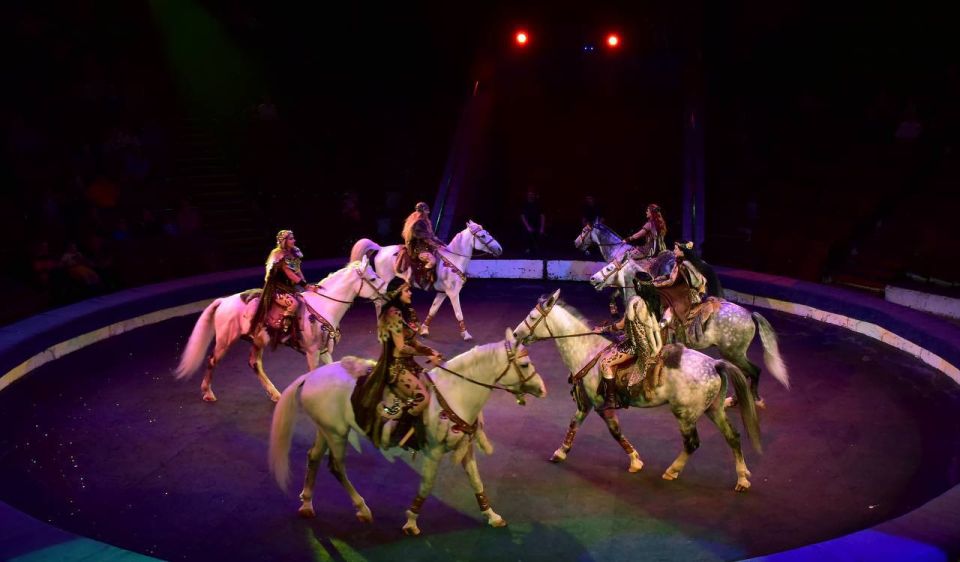 � 7 ����� � ����� �������� ����� ��������� ���� ����� ����