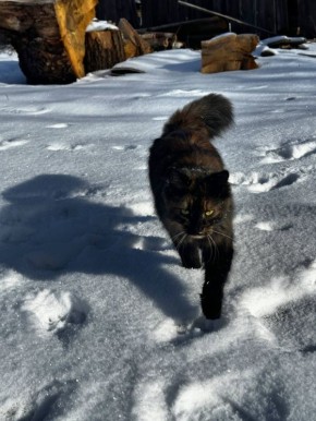 27 ������� �� ���������� ��������� �������� ���������� ����� ������� � ������������