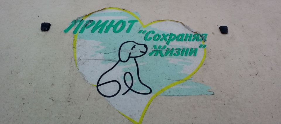 � ���������� ������������ ����������� �� ������ �������� ��� ����������