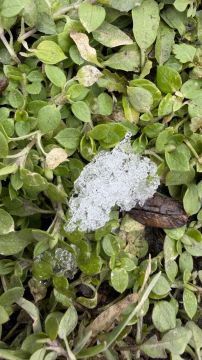 ��������� ������������ 27 ������� � ��� �� 8 �������� ������ ����� �� ���� 3 �������� ����, ������� ��������� ����, ������ ����, ����������, ��������� ������� �����, ������� �����