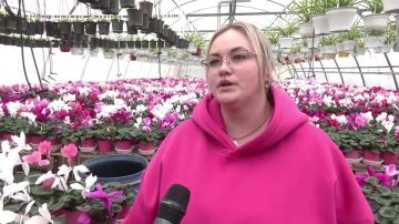 ������� ������ � �������� ����������� ������� ������� � �������� �� ���������� ����� ������� � 5 �� 8 �����