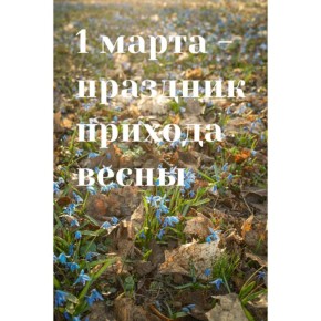 �� ���� ����, ����� �����