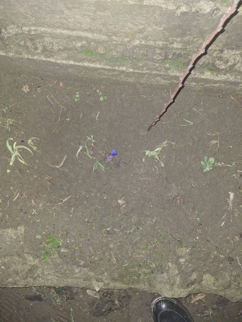 111Луганские полицейские задержали жителя столицы республики, направлявшегося к закладке с наркотиком 111Луганские полицейские задержали жителя столицы республики, направлявшегося к закладке с наркотиком