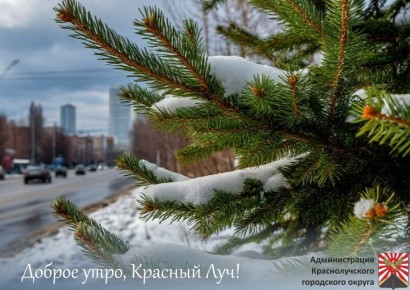 ������ ����, ������������!