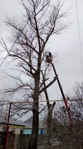 ������� ��������������� �������������� ������