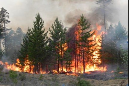 � � � � � � �. � ������������� ������ ������������ �� ��������� ����! ���� �� ��� ���� ��������� � ����, ���������� �������! � ������������� ������ � ���� ������������� �����������: