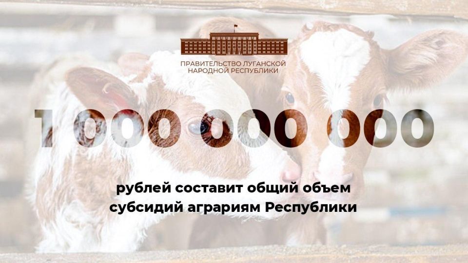 1 миллиард рублей составит размер государственной поддержки аграриев ЛНР в виде прямых субсидий