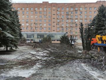 ������� �������: � ��������� ��������������� �������� �������� ���������� � ������������� ������������ ��������� �����