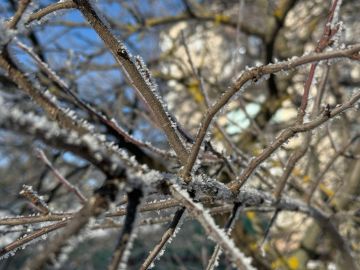 � ������ �����, ������ ����������� �������������� ������ !