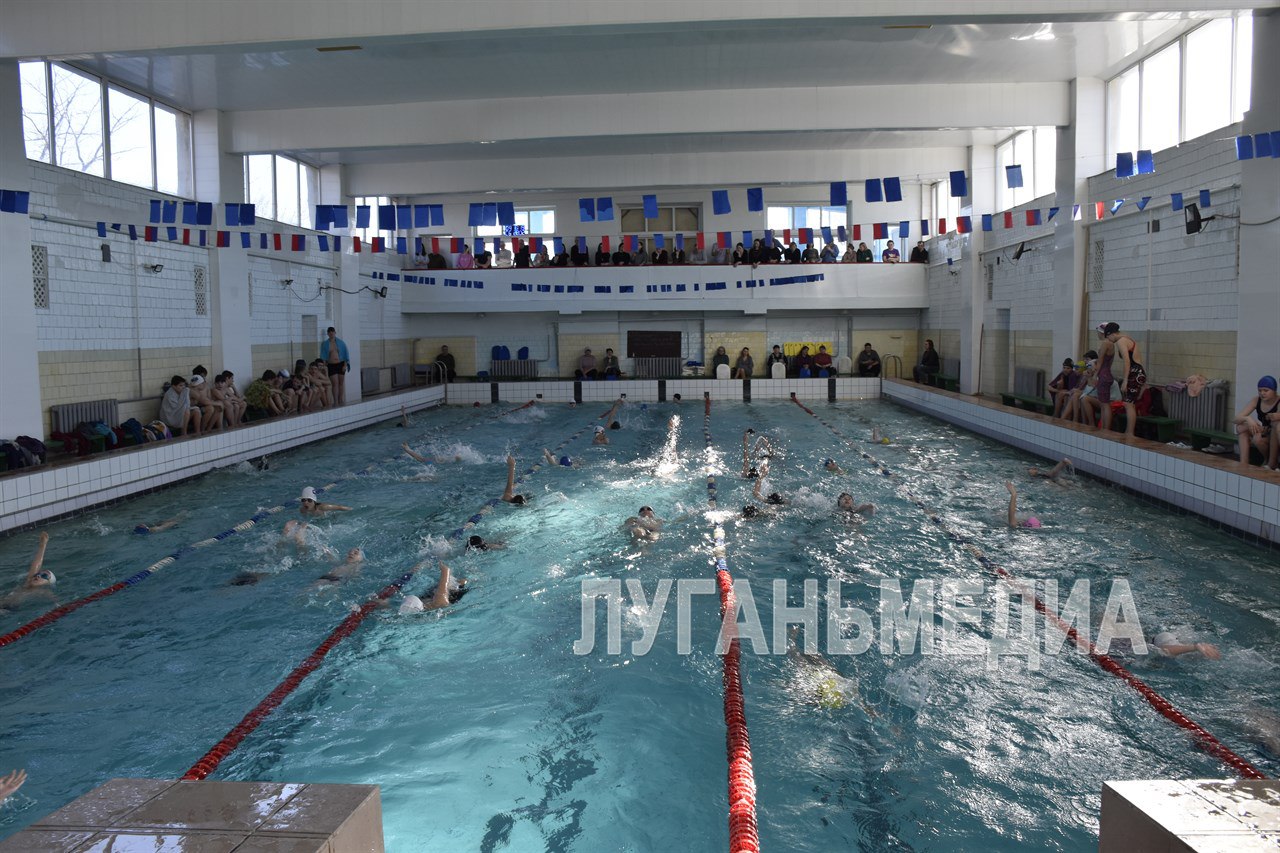 Краснолучские пловцы соревновались в мастерстве на дистанции 200 метров Краснолучские пловцы соревновались в мастерстве на дистанции 200 метров