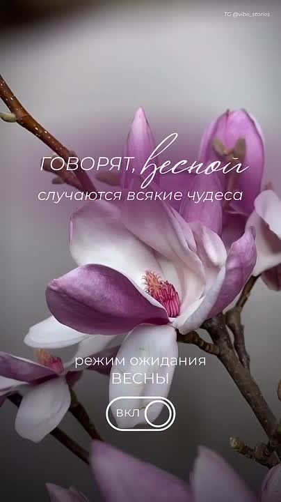 � ������ �����, ������ �������������� ������! � ��������� ���� ���� ����!