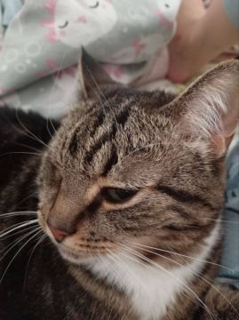 1 марта на территории Луганской Народной Республики прогнозируется переменная облачность