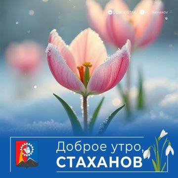 ������ ����, ������ �����!