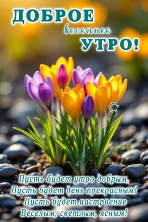 Доброе утро, Алчевск!. Поздравляем с первым днём весны! Пусть эта пора принесёт с собой много положительных изменений, даст виток новым событиям, станет началом чего-то прекрасного и светлого