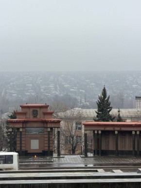 Жители ЛНР могут бесплатно получить юридическую помощь онлайн