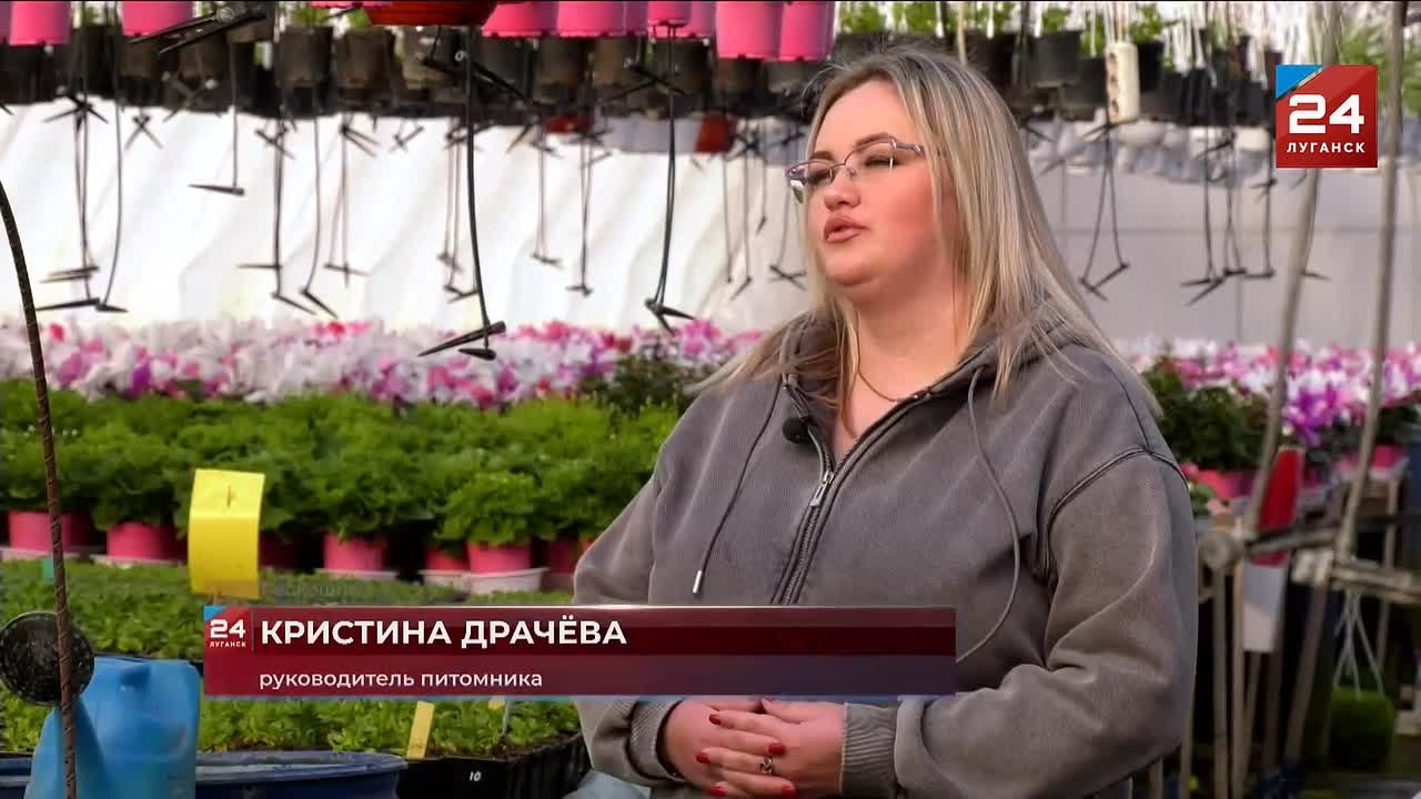 Цикламен, гиацинт, примула — цветущие растения в горшках всё чаще выбирают вместо букетов на 8 Марта