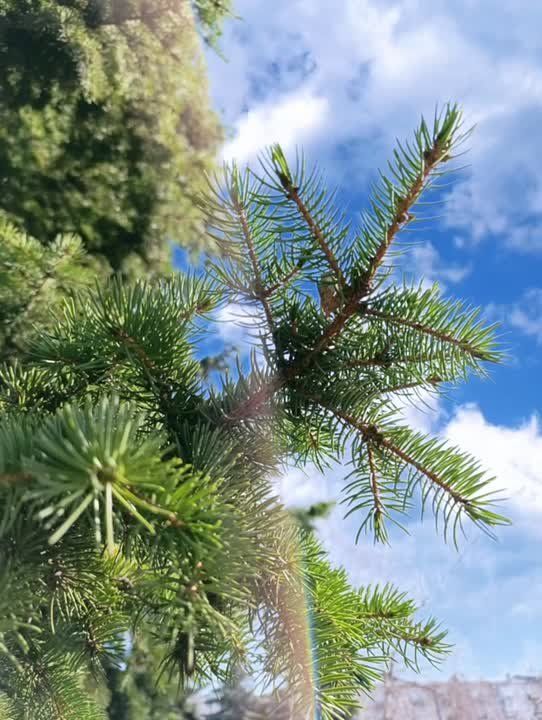 ������ ����, �������!. � ������ ���� �����! ����� ���� ���� �������� �������, ����������� � ����� �������