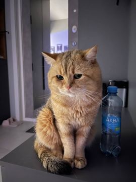 2 ����� �� ���������� ��������� �������� ���������� �������������� ���������� ����������