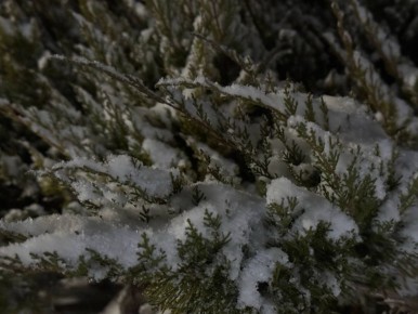 С добрым утром, жители Марковского муниципального округа !