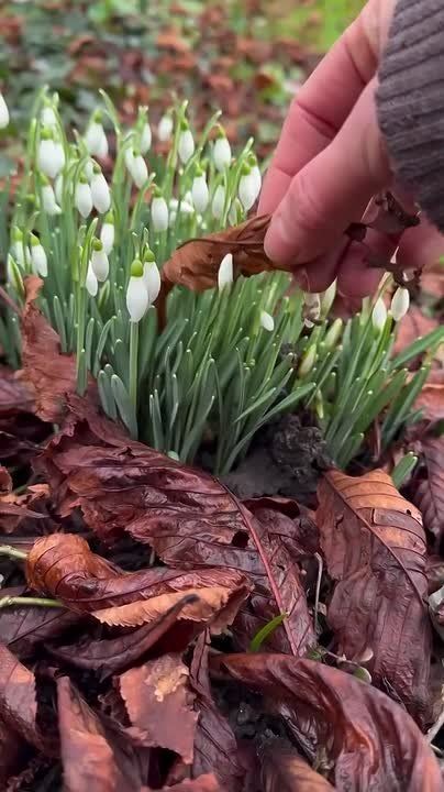 � ������ ���������� �����, ������ �������������� ������! � ������ ���� ����� ���! ���� ��������� ����������!