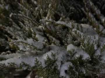 С добрым утром, жители Марковского муниципального округа !
