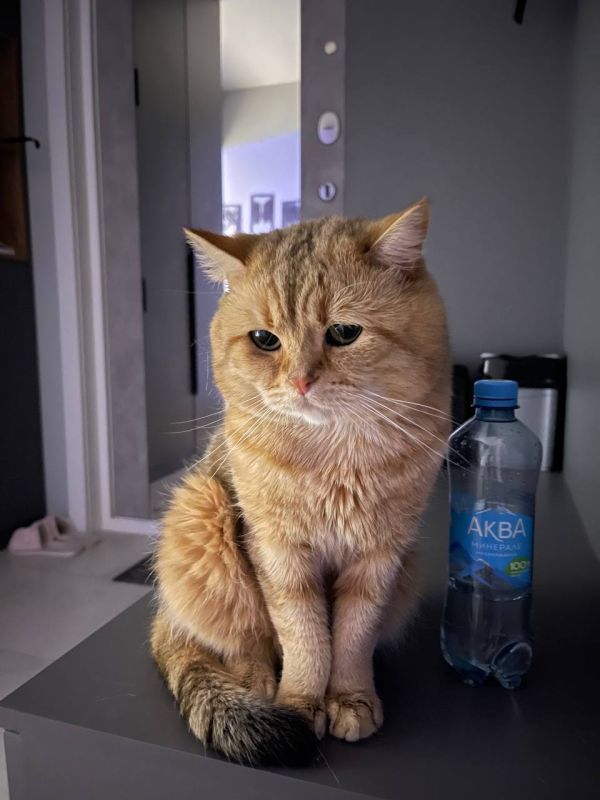 2 ����� �� ���������� ��������� �������� ���������� �������������� ���������� ����������