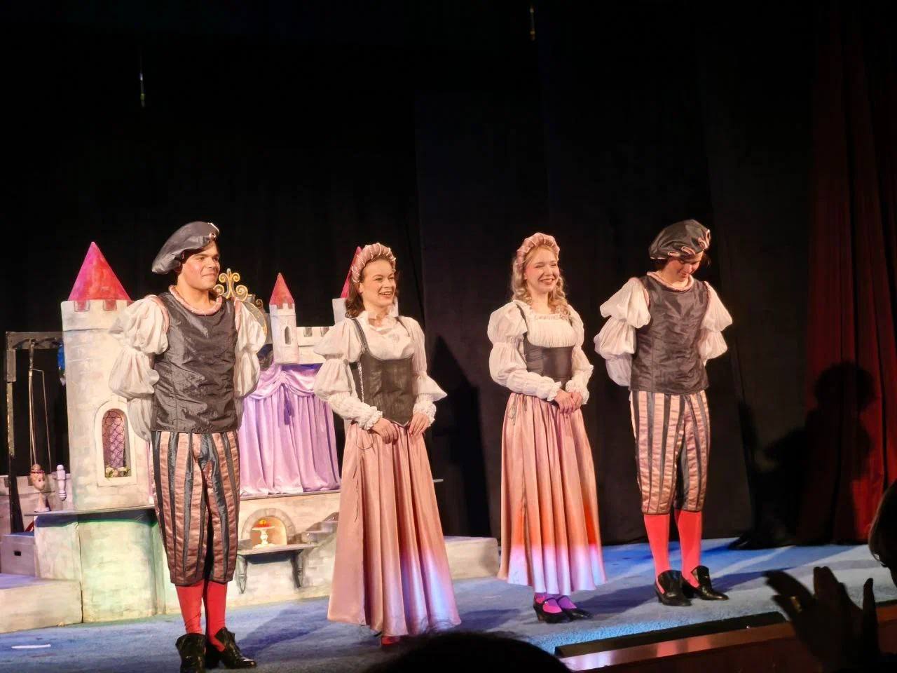 В Луганском театре кукол с аншлагом прошла премьера восстановленного спектакля «Принцесса на горошине» В Луганском театре кукол с аншлагом прошла премьера восстановленного спектакля «Принцесса на горошине»