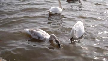 ����� ������!. ��� ������������� � ������ �� ������������ ������������� ...