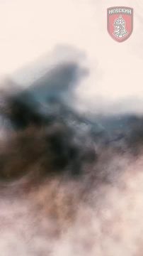 Продолжается набор добровольцев в Отряд «Невский»