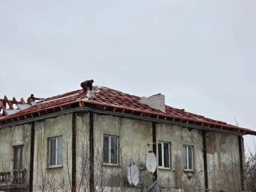 � ����������� ���������� � �������������� ��� ������ ����