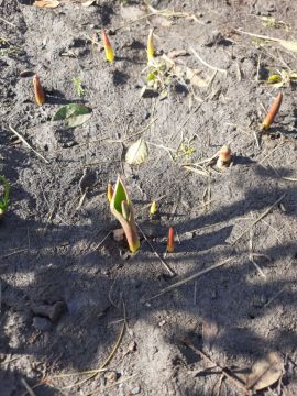 ����� ����� ������.... � ������������ ����� ����������� ��� ���-��� ��������� �����������, � ������ � ���� � ������ �������� ���������� ����� ����� �� ��������� � ����, ��� �� ��������� ��� ����. ������-������ �� ����������...