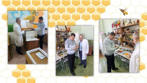 Научное обеспечение агропрома: финалист проекта «Герои Луганщины» прорабатывает вопросы племенного пчеловодства с профильной кафедрой ЛГАУ