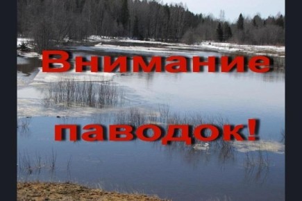 Юлия Кожухарь: УВАЖАЕМЫЕ ЖИТЕЛИ НОВОПСКОВСКОГО МУНИЦИПАЛЬНОГО ОКРУГА!