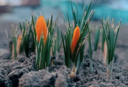 ��������� ������ ����: ������ � ��� 3 �����