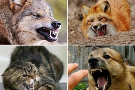 ��� ��� ����� ��������� ������, �����������