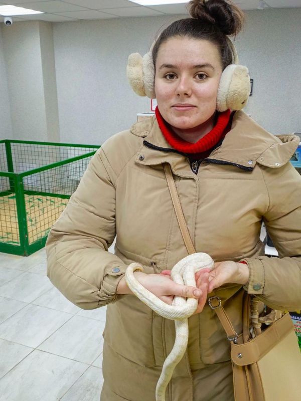 «Джунгли Парк» впервые в Луганске: более 30 экзотических животных в одном месте «Джунгли Парк» впервые в Луганске: более 30 экзотических животных в одном месте