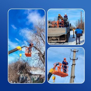 Оренбургские специалисты обрезают деревья в Перевальском округе