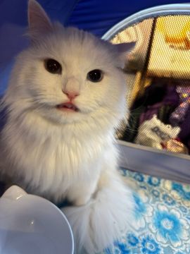 4 марта на территории Луганской Народной Республики будет облачно с прояснениями