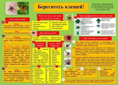 Чем опасен укус клеща и как от него защититься