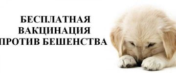 ВНИМАНИЕ! ВАКЦИНАЦИЯ СОБАК И КОШЕК ПРОТИВ БЕШЕНСТВА!