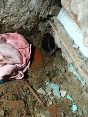 ������ �������: ��������� ���������� ������������ ����������� � ������� ���� �����������