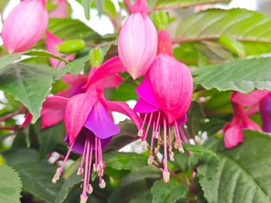 ��������� ��������� ��� � ���������