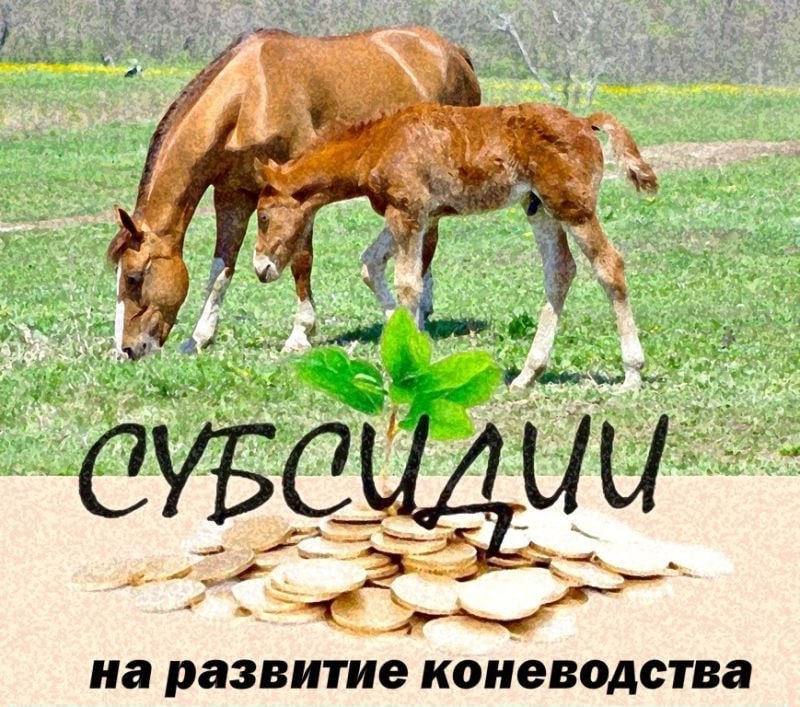 МСХиП ЛНР объявляет прием документов на субсидии для государственных коневодческих предприятий