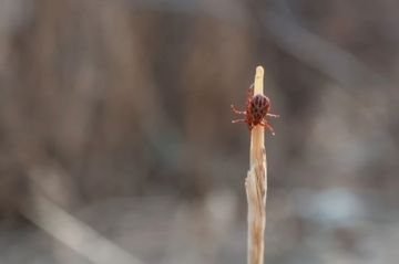 � ������ ��������� ������ ������ �� ����� ������