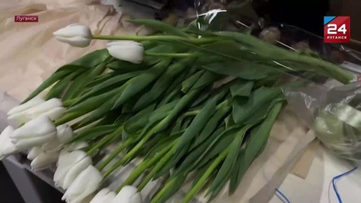 Тюльпаны для прекрасных дам: Народный Фронт запускает праздничную акцию к 8 Марта