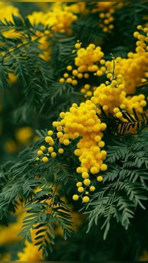 С добрым утром!. Сегодня 4 марта, среда! Пусть утро будет добрым, а день лгким! Немного о погоде: