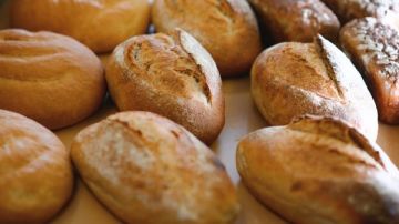 � 1 ������ 2026 ���� � ������ ��������� ���� �� ����� ��������� ����